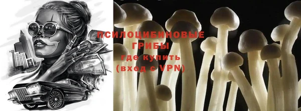 кристаллы Корсаков